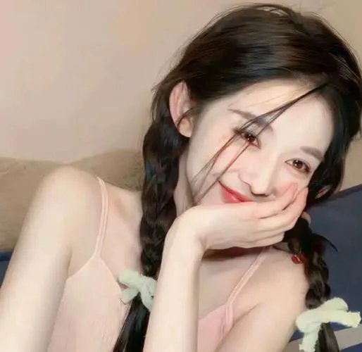 躲在阁楼的安妮·法兰克